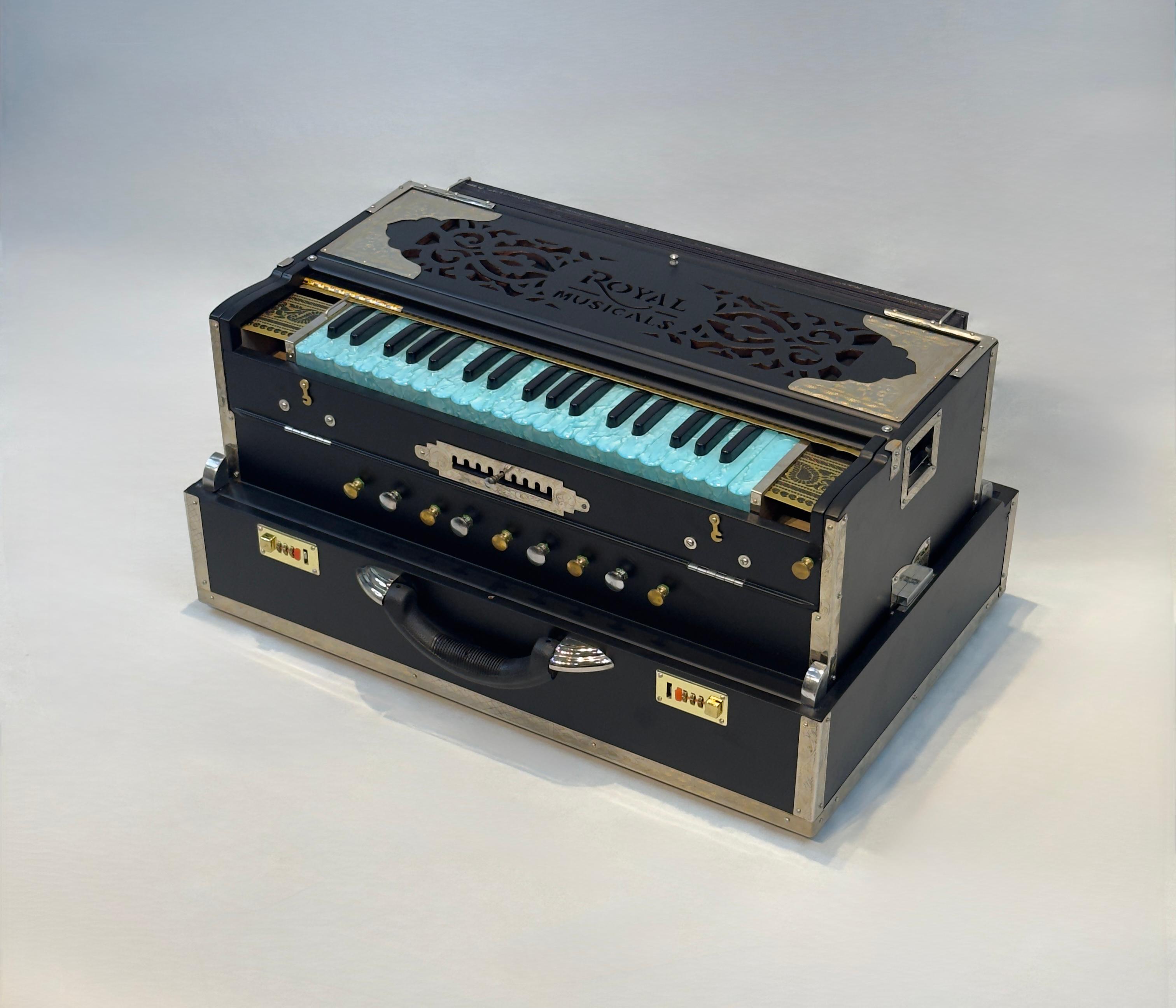NS Reeds, Customised Keys- 9 Scale Changer 3 Line Harmonium